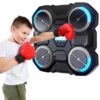 Rhythemic Music Boxing Target