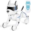 Robot Smart Dog